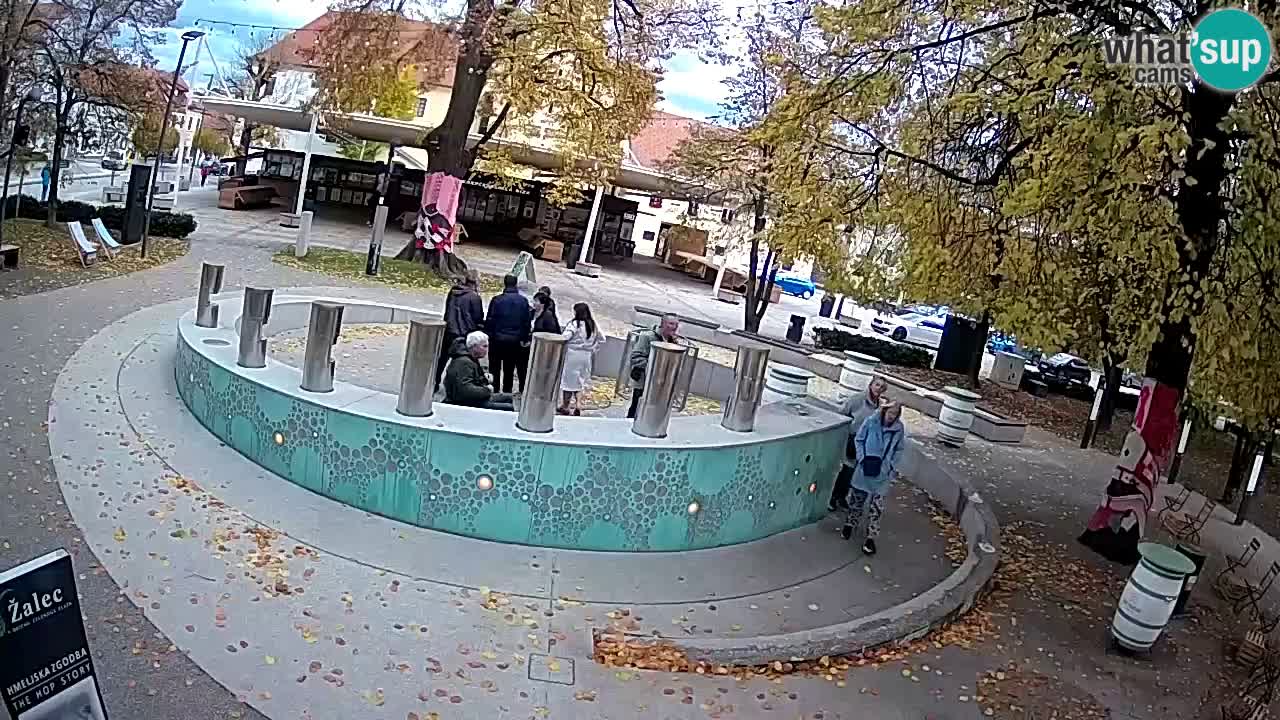 Bier-Springbrunnen Webcam Žalec – Grünen Goldes