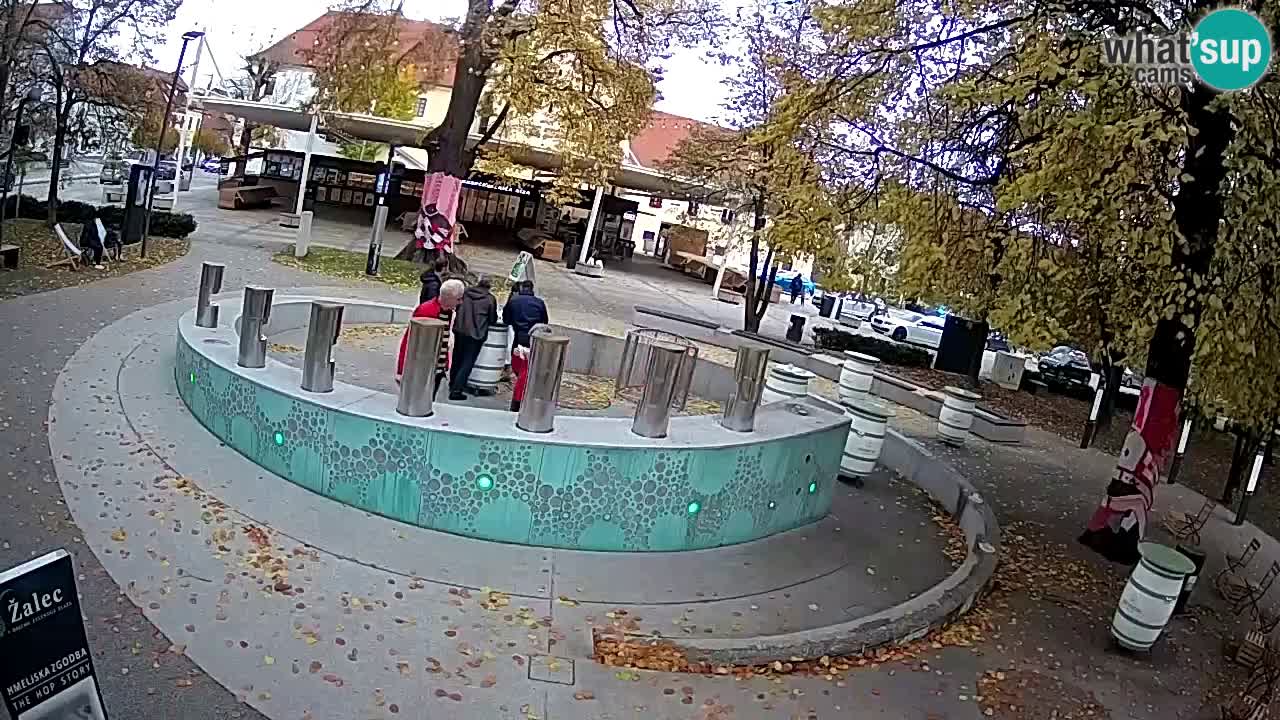 Web kamera Fontana piva – Zeleno zlato – Žalec