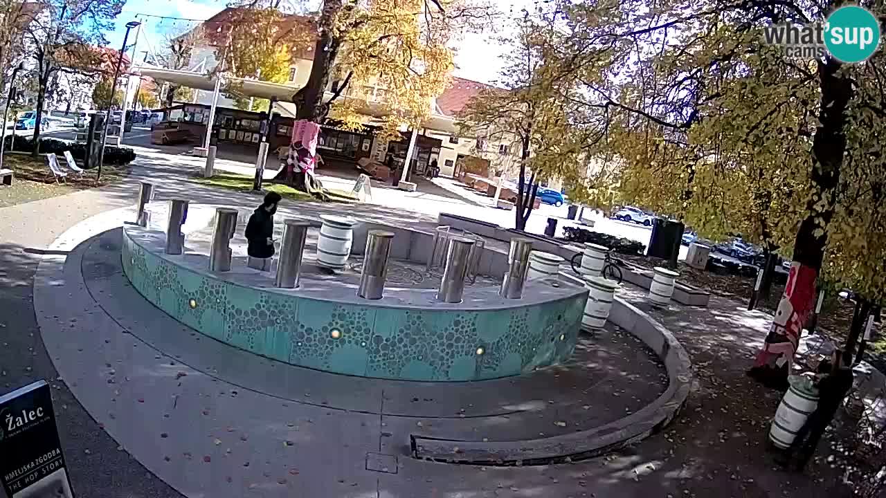 Bier-Springbrunnen Webcam Žalec – Grünen Goldes