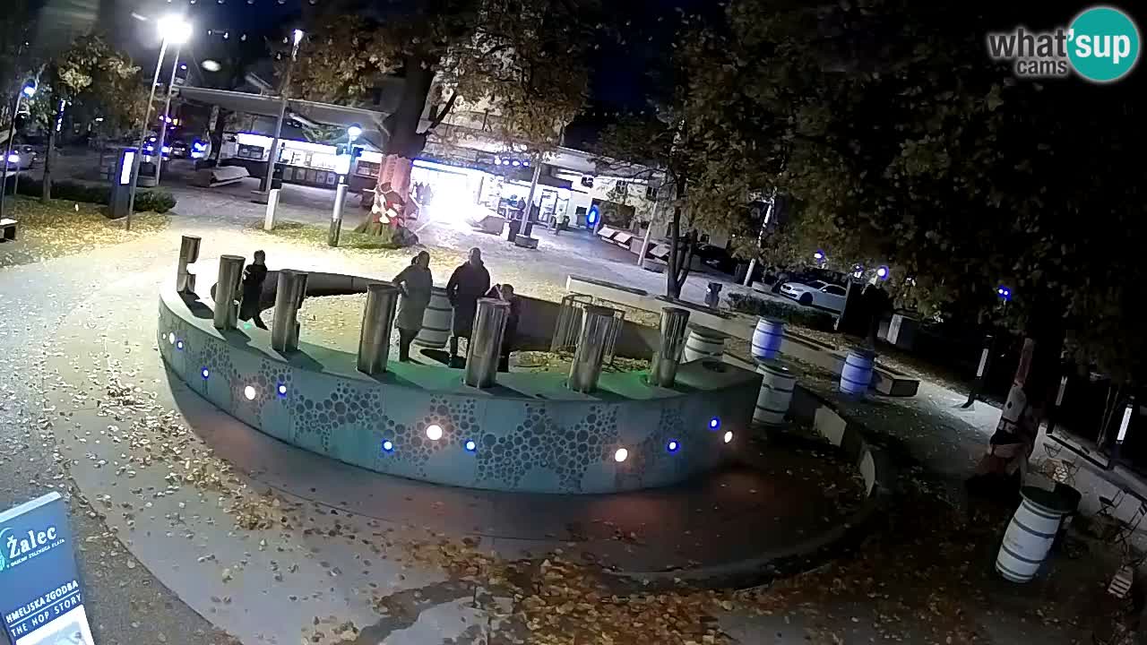 Bier-Springbrunnen Webcam Žalec – Grünen Goldes