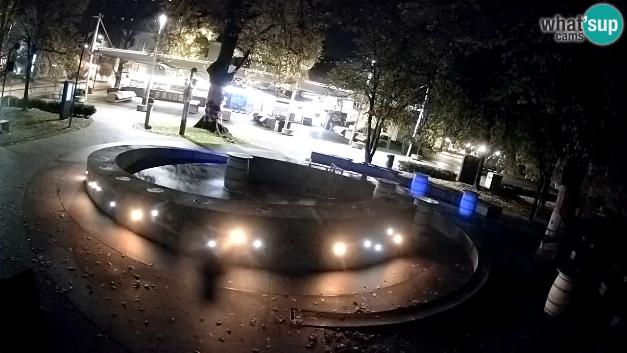 Fontaine à bière LIVE webcam – Or vert – Žalec