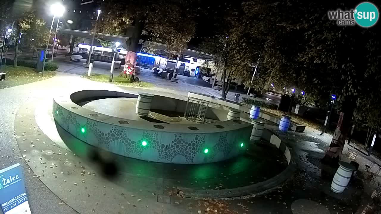 Camera en vivo Fuente de cerveza – Oro verde – Žalec