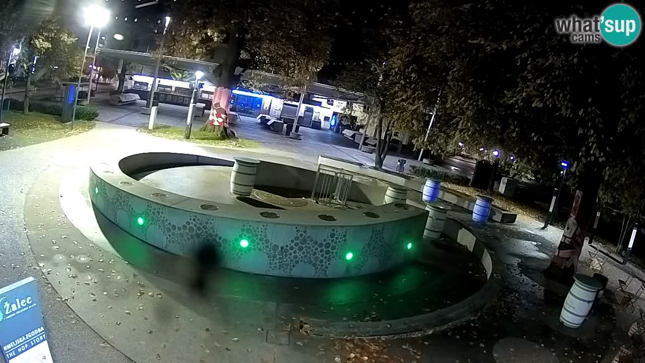 Spletna kamera Fontana Piv – Zeleno zlato Žalec