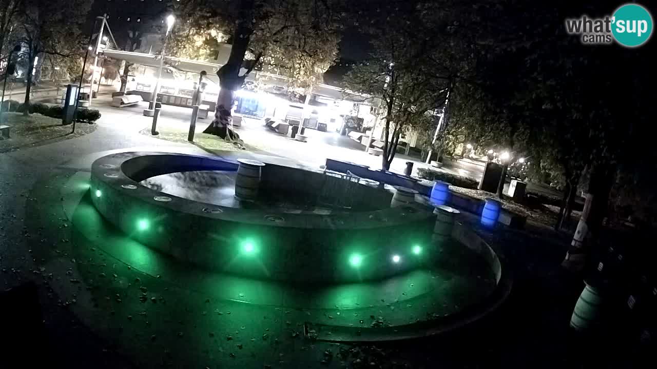 Bier-Springbrunnen Webcam Žalec – Grünen Goldes