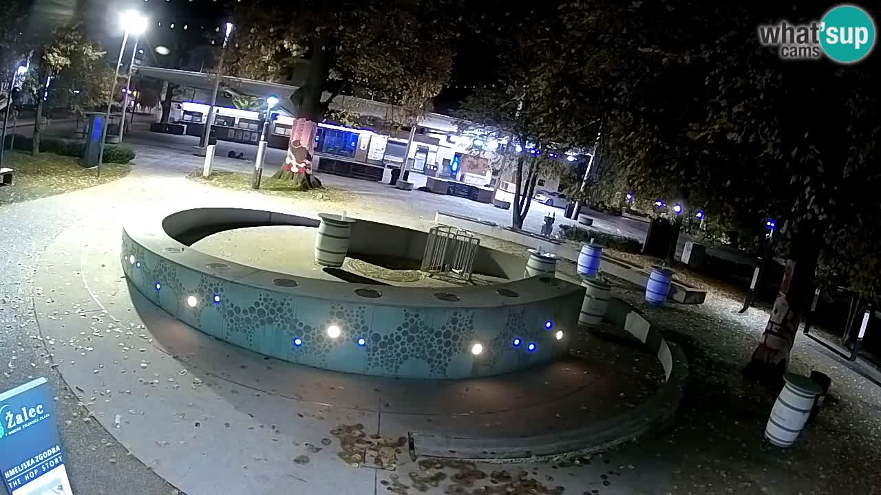 Fontaine à bière LIVE webcam – Or vert – Žalec
