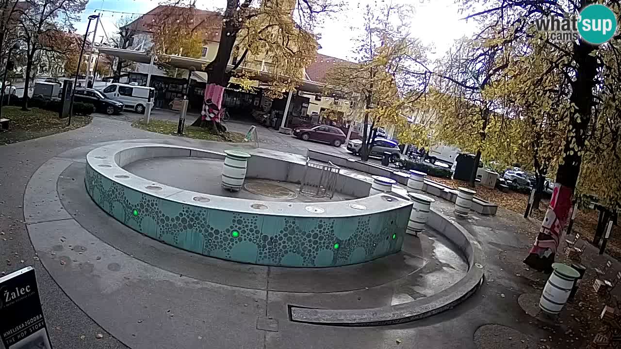 Spletna kamera Fontana Piv – Zeleno zlato Žalec