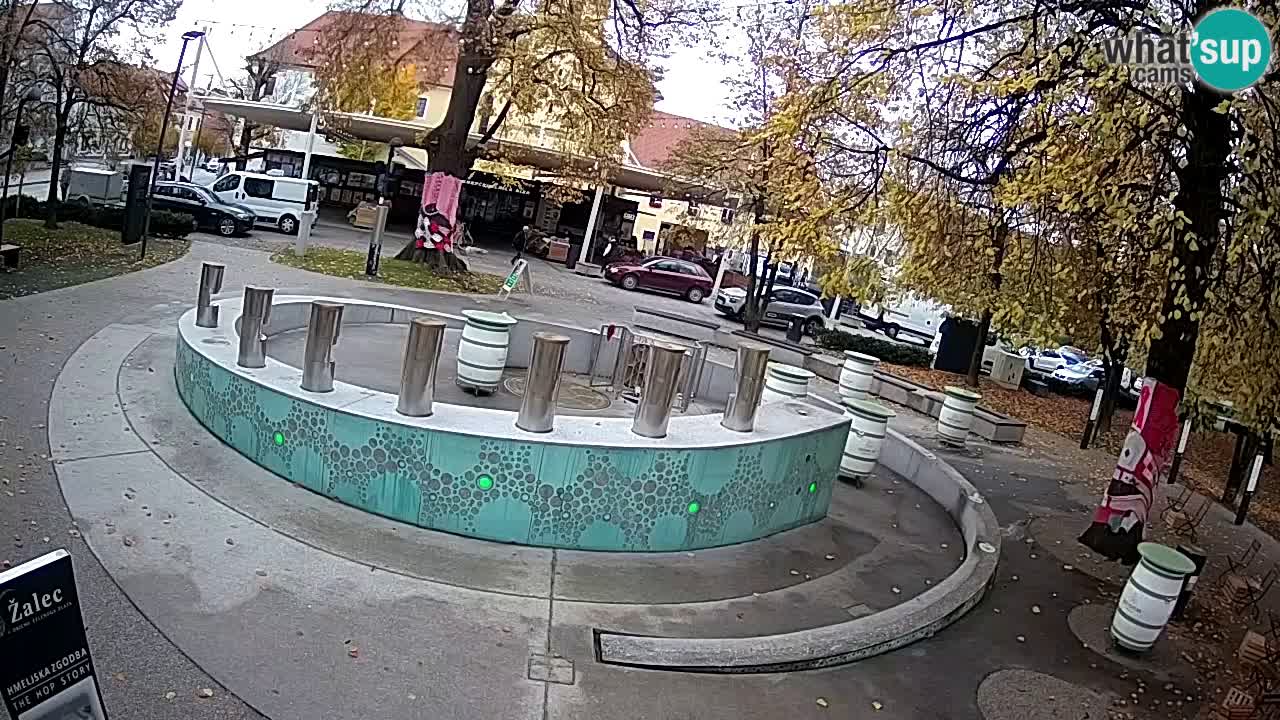 Bier-Springbrunnen Webcam Žalec – Grünen Goldes