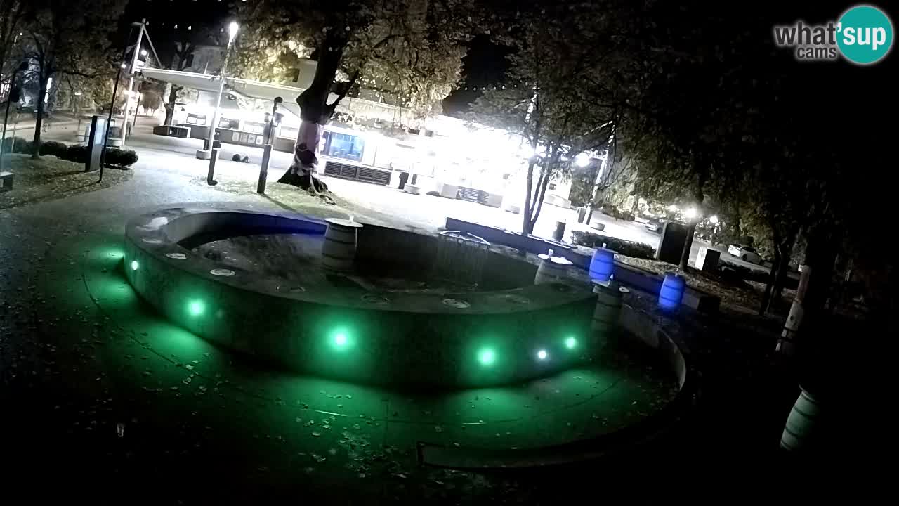 Fontaine à bière LIVE webcam – Or vert – Žalec