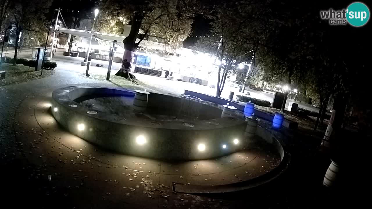 Fontana di birra Webcam – Oro verde – Žalec