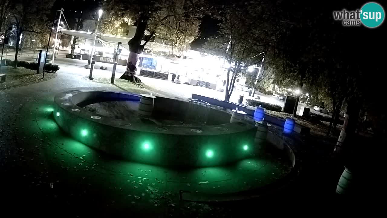 Spletna kamera Fontana Piv – Zeleno zlato Žalec