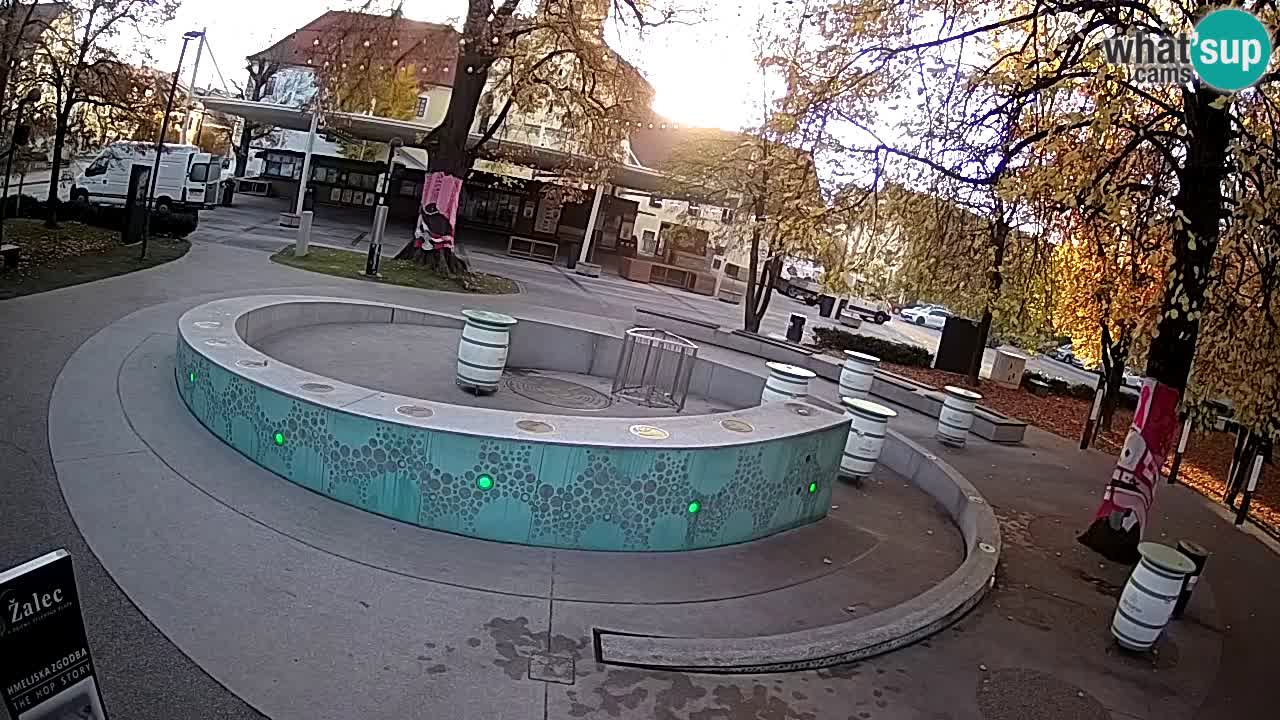 Fontaine à bière LIVE webcam – Or vert – Žalec