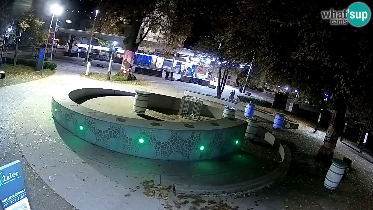 Fontaine à bière LIVE webcam – Or vert – Žalec