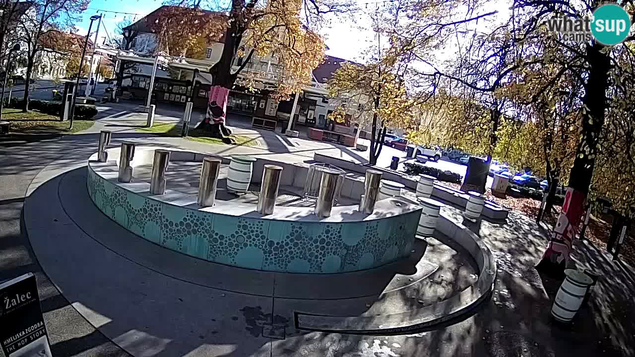 Spletna kamera Fontana Piv – Zeleno zlato Žalec