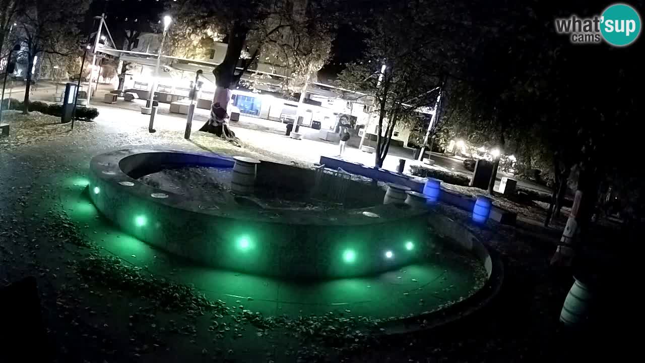 Fontana di birra Webcam – Oro verde – Žalec