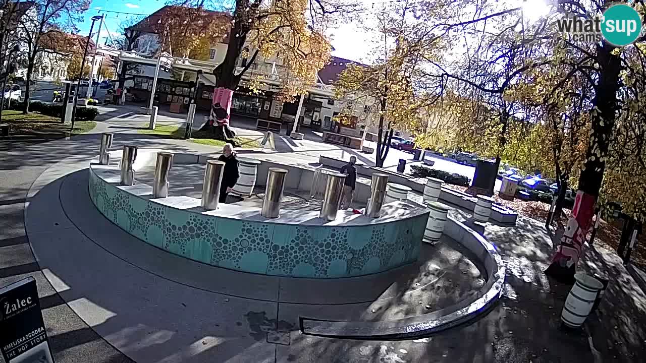 Bier-Springbrunnen Webcam Žalec – Grünen Goldes