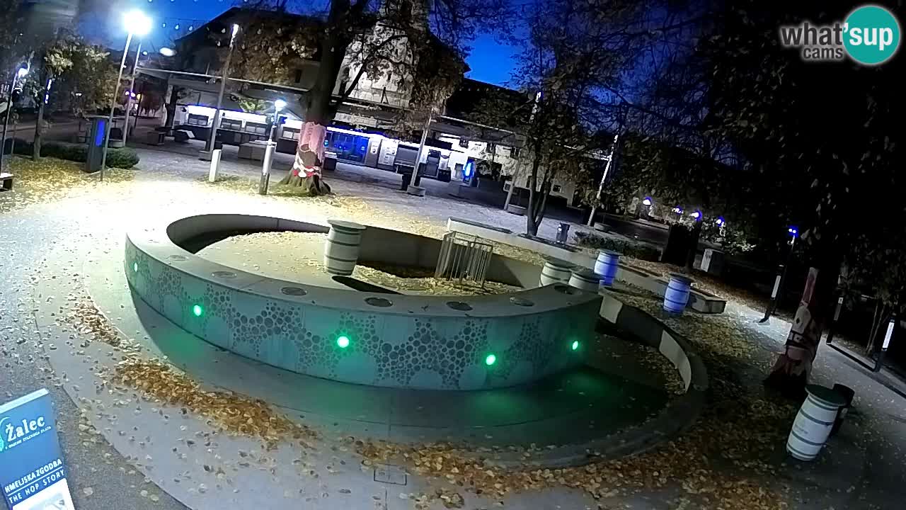 Bier-Springbrunnen Webcam Žalec – Grünen Goldes