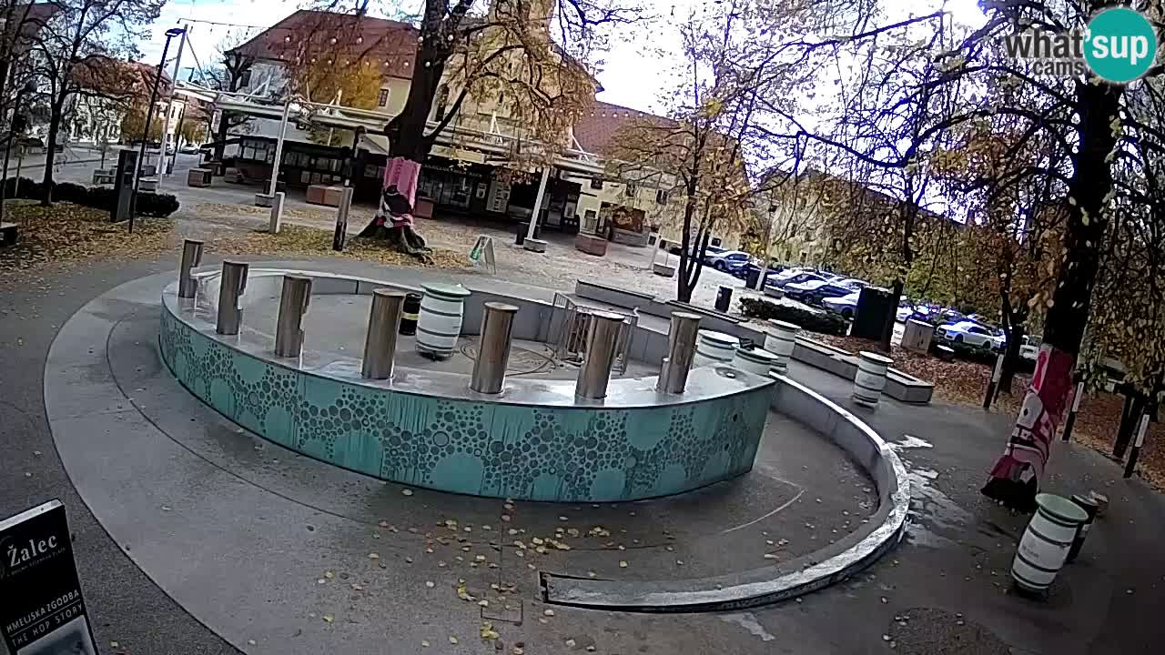 Camera en vivo Fuente de cerveza – Oro verde – Žalec