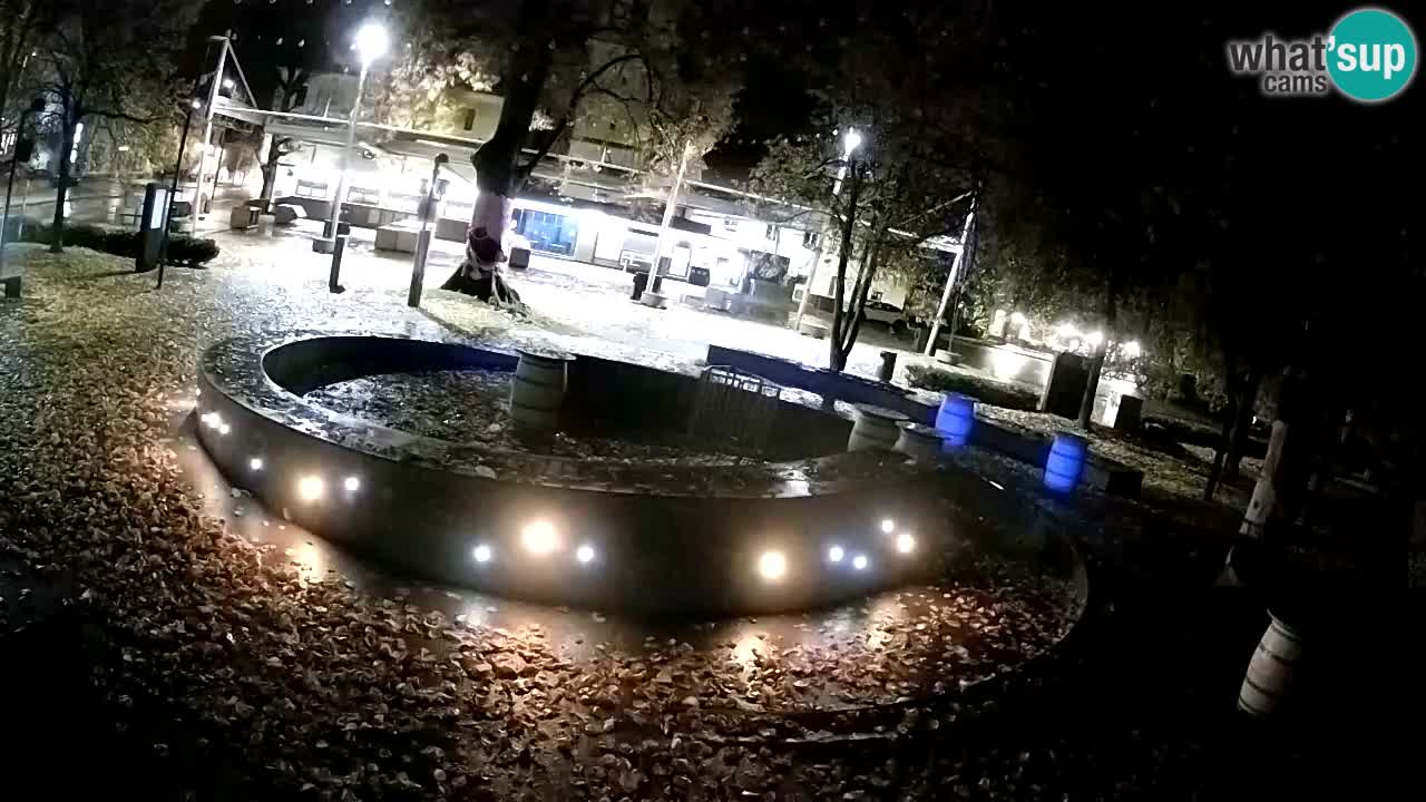 Spletna kamera Fontana Piv – Zeleno zlato Žalec