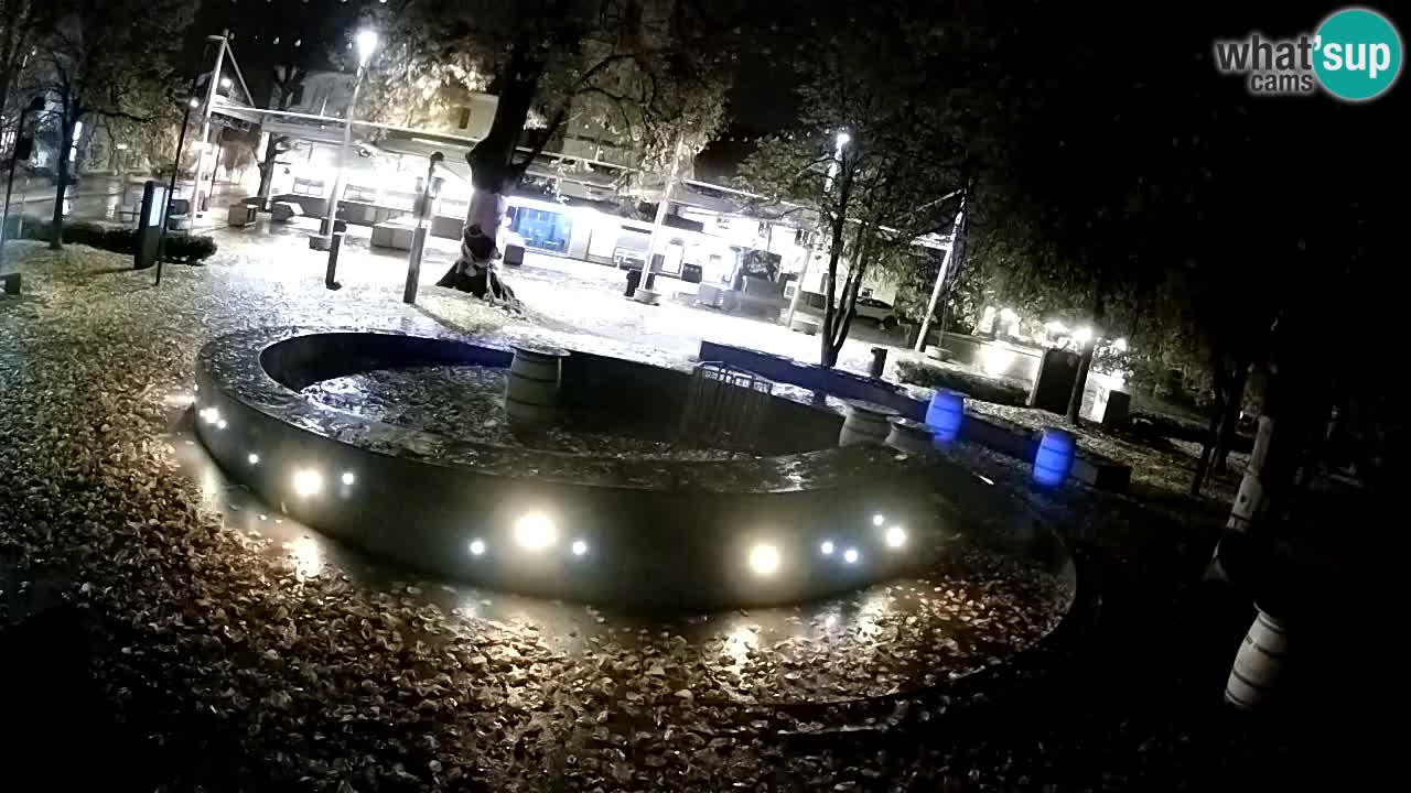 Spletna kamera Fontana Piv – Zeleno zlato Žalec