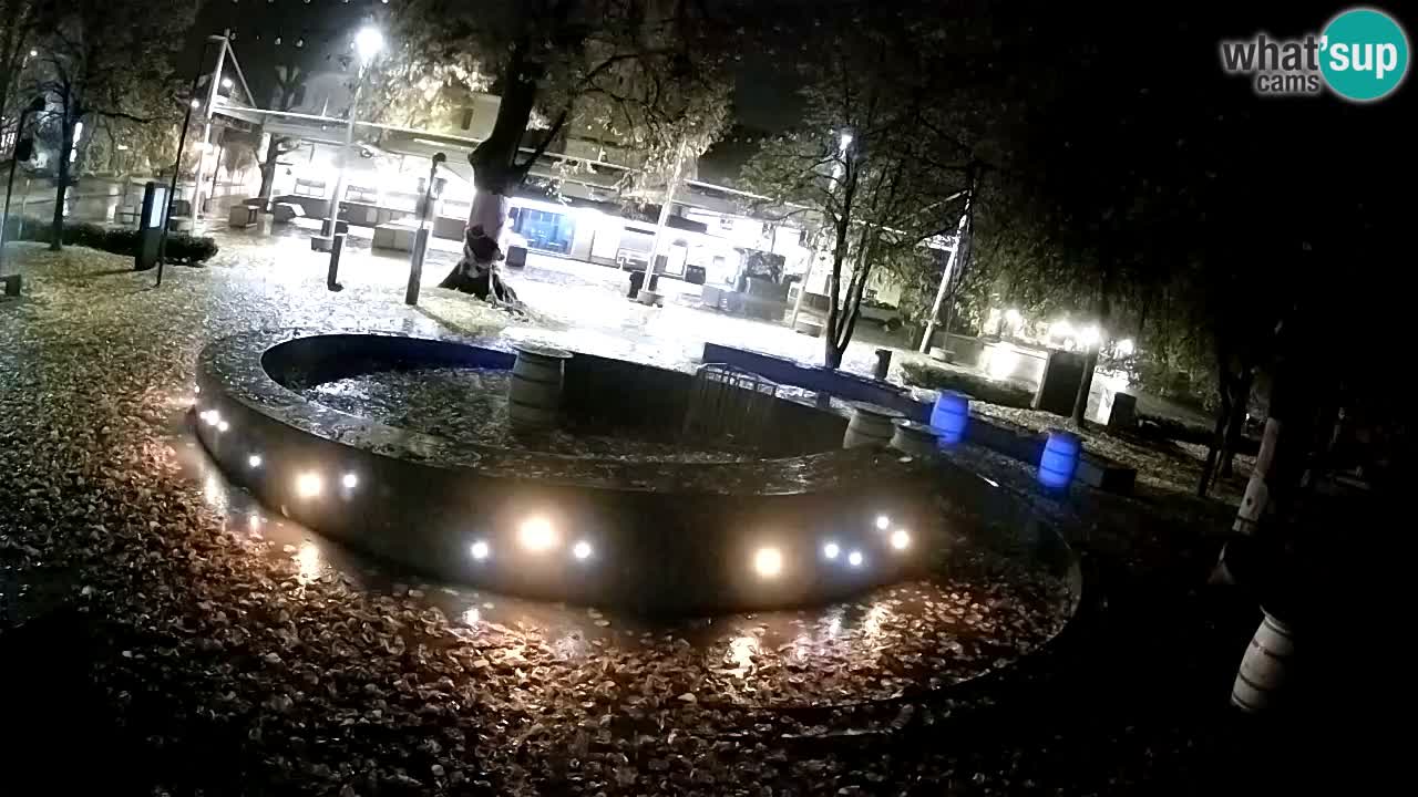 Web kamera Fontana piva – Zeleno zlato – Žalec