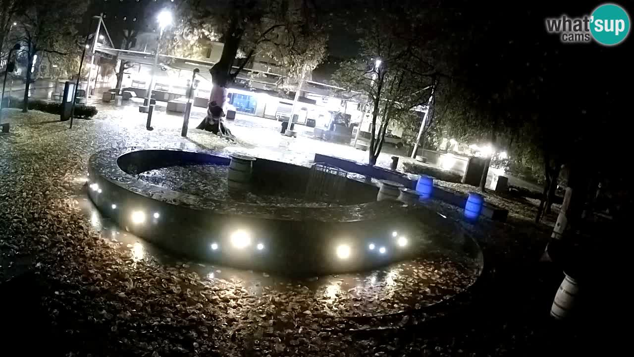 Camera en vivo Fuente de cerveza – Oro verde – Žalec