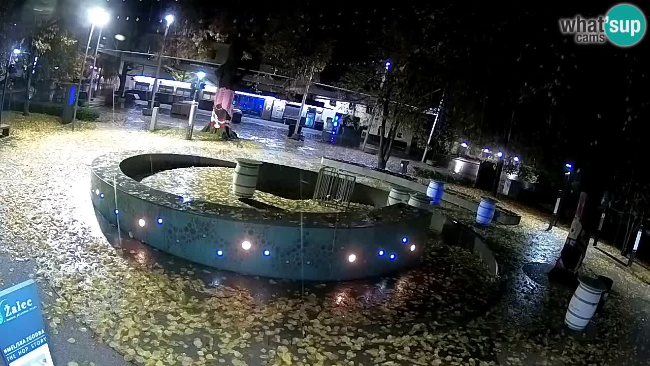 Bier-Springbrunnen Webcam Žalec – Grünen Goldes