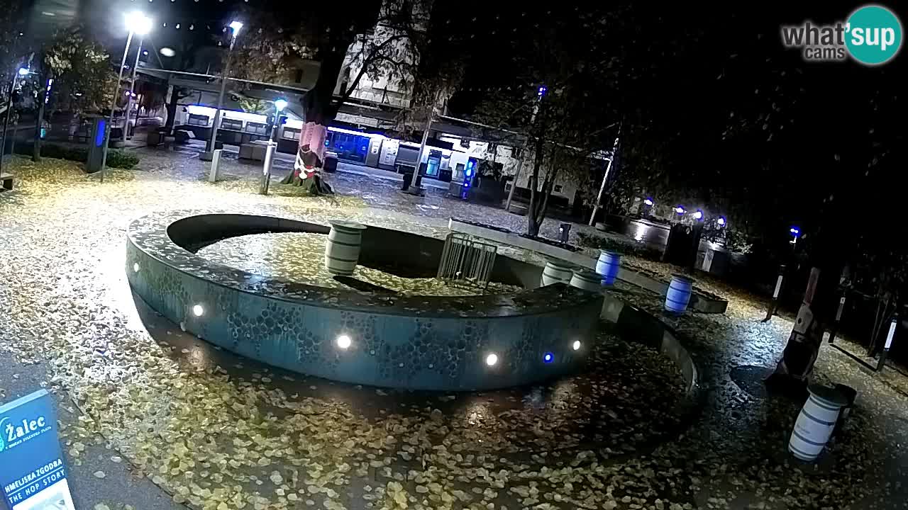 Web kamera Fontana piva – Zeleno zlato – Žalec