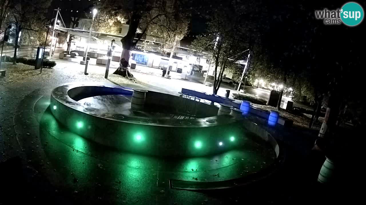 Web kamera Fontana piva – Zeleno zlato – Žalec