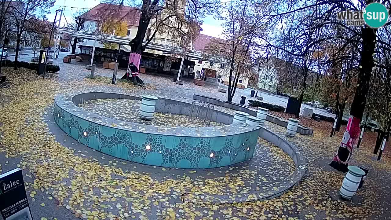 Camera en vivo Fuente de cerveza – Oro verde – Žalec