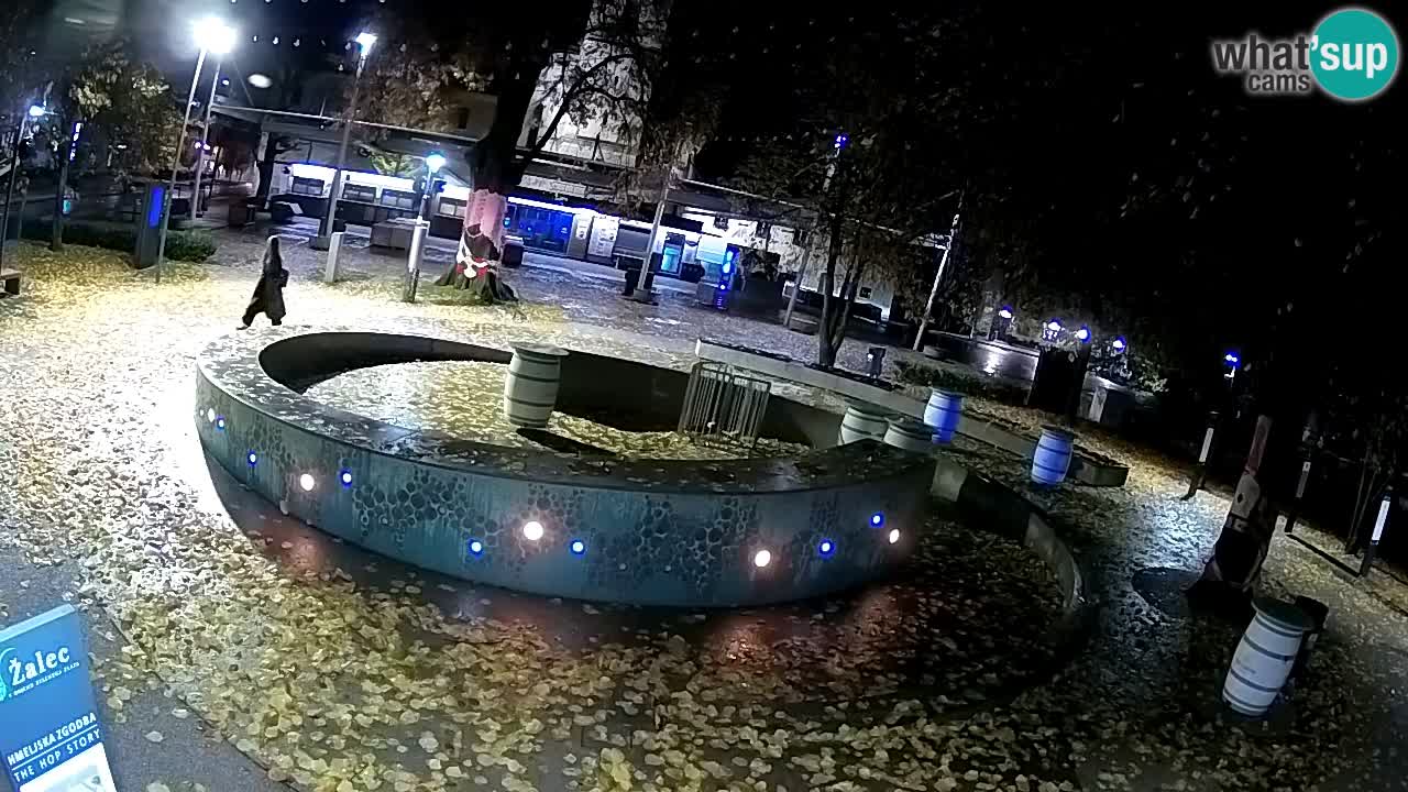 Web kamera Fontana piva – Zeleno zlato – Žalec