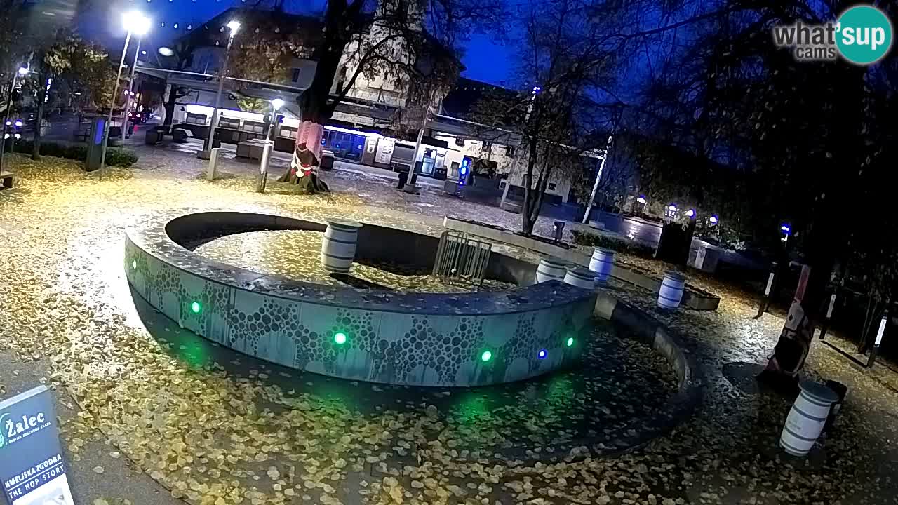 Bier-Springbrunnen Webcam Žalec – Grünen Goldes
