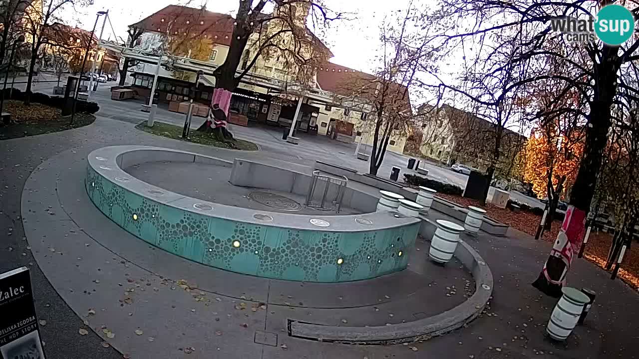 Spletna kamera Fontana Piv – Zeleno zlato Žalec