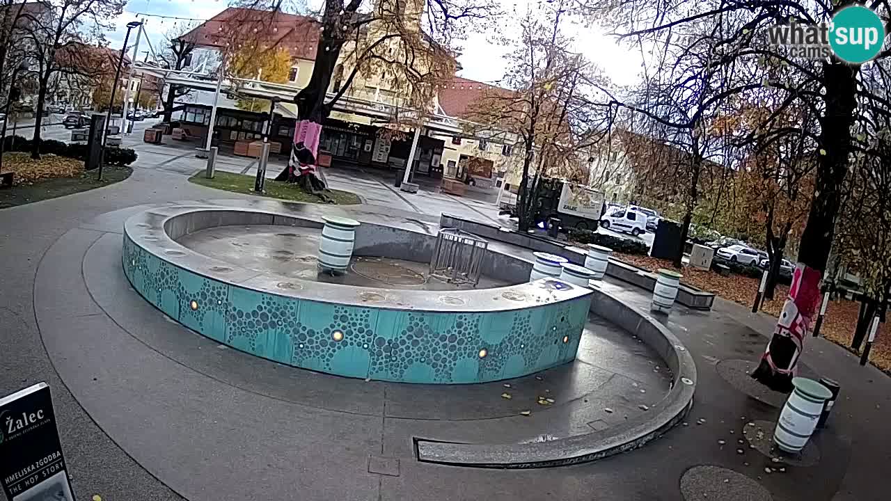 Web kamera Fontana piva – Zeleno zlato – Žalec