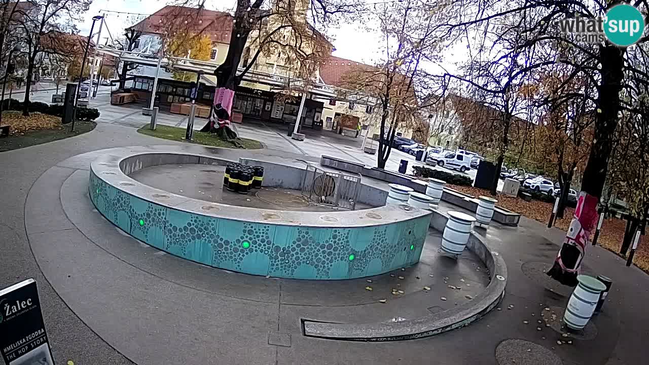 Bier-Springbrunnen Webcam Žalec – Grünen Goldes