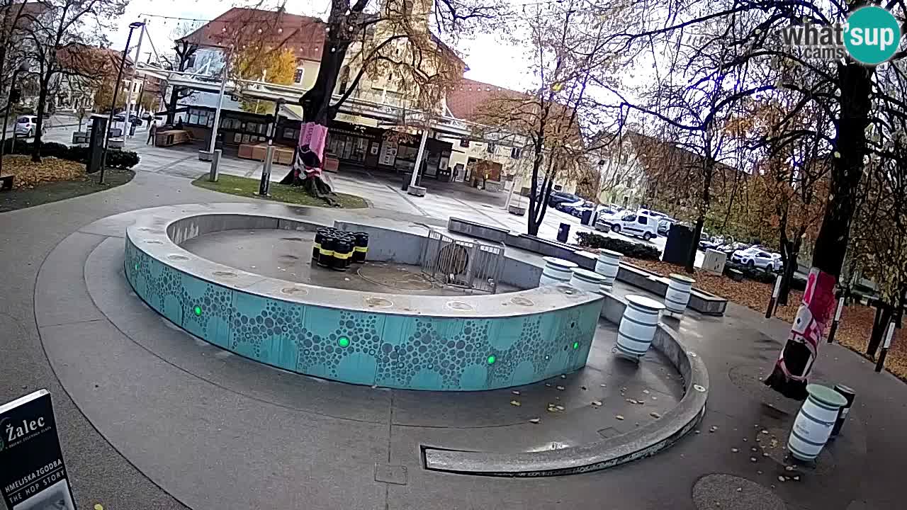 Fontaine à bière LIVE webcam – Or vert – Žalec