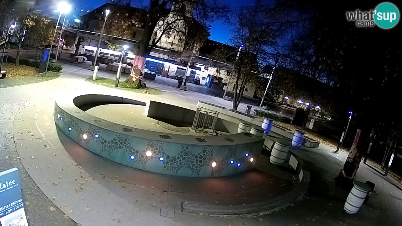 Bier-Springbrunnen Webcam Žalec – Grünen Goldes