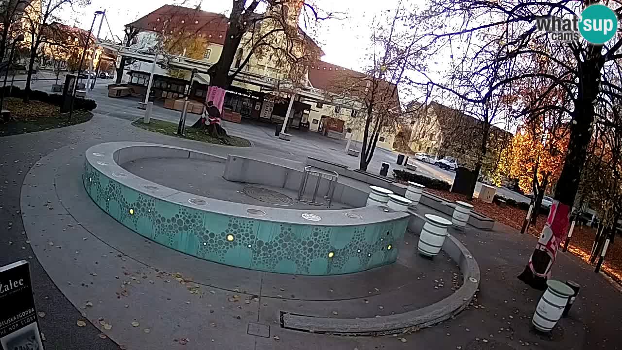 Camera en vivo Fuente de cerveza – Oro verde – Žalec