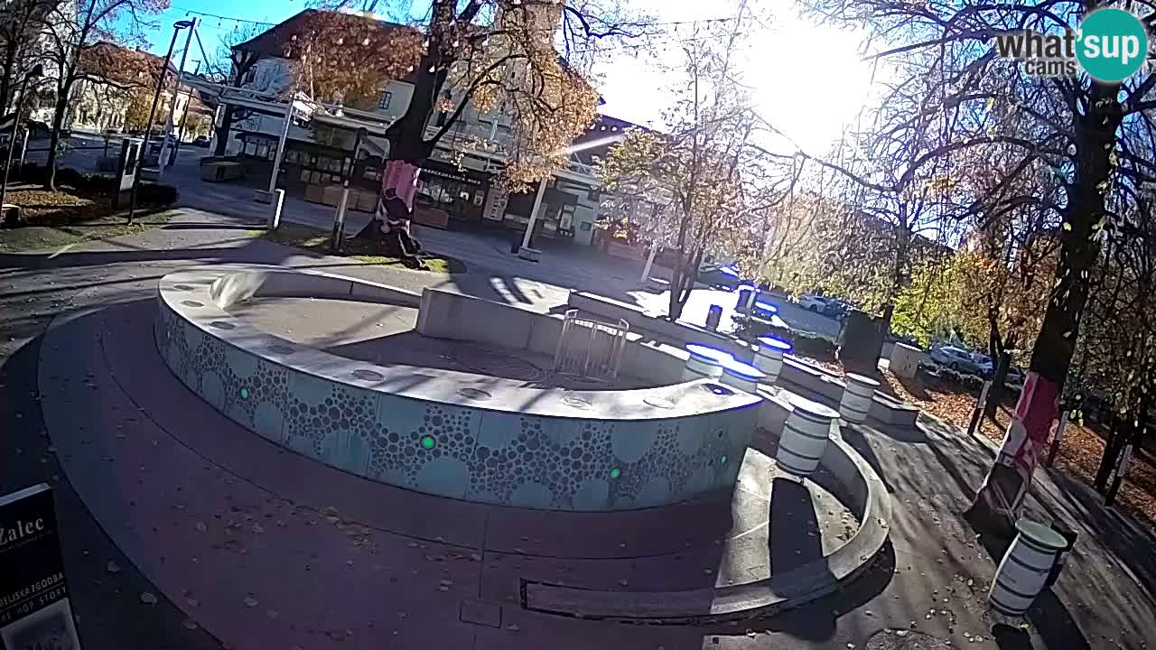 Fontaine à bière LIVE webcam – Or vert – Žalec