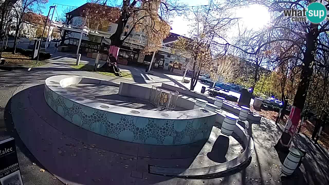 Spletna kamera Fontana Piv – Zeleno zlato Žalec