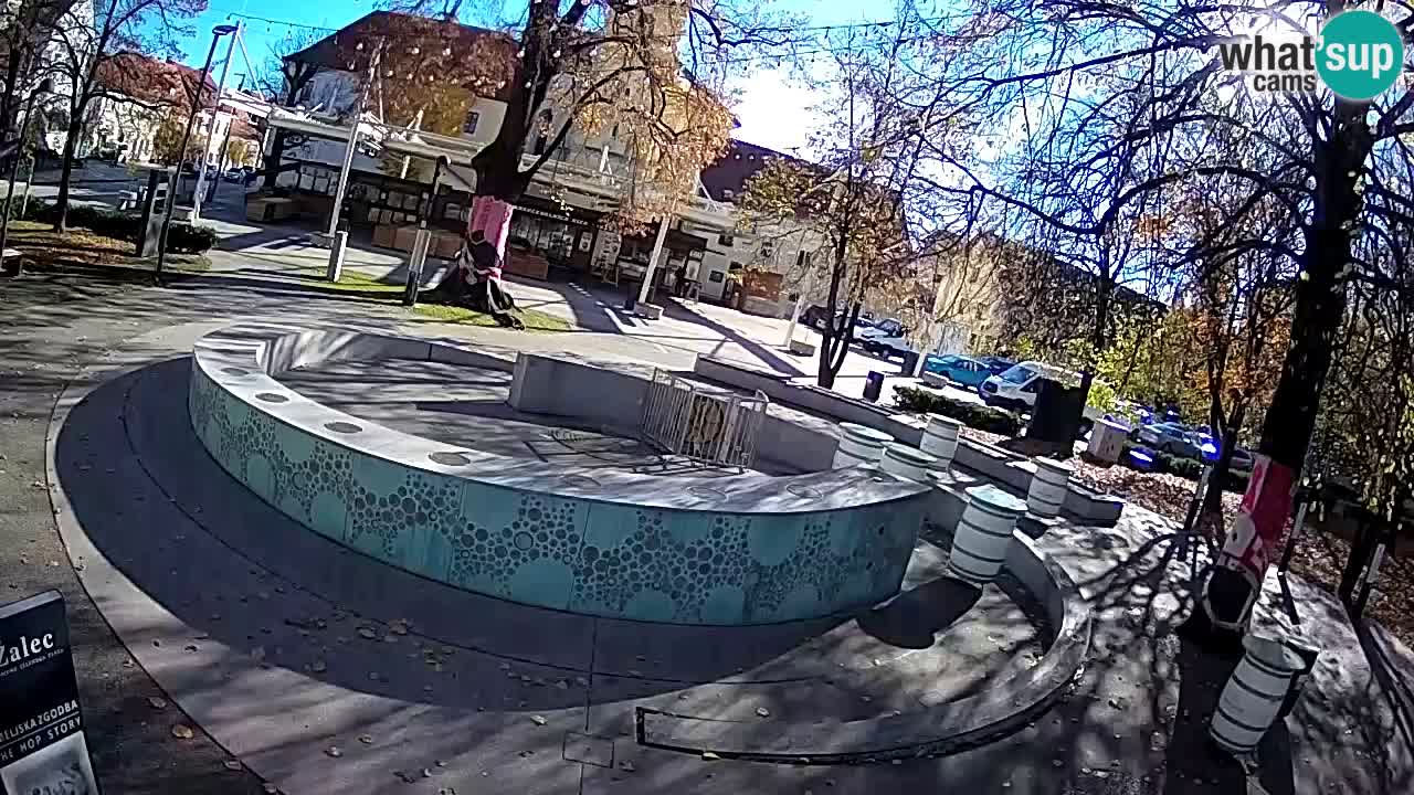 Web kamera Fontana piva – Zeleno zlato – Žalec