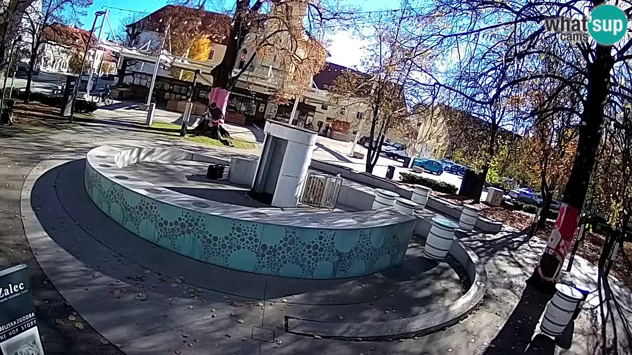 Web kamera Fontana piva – Zeleno zlato – Žalec