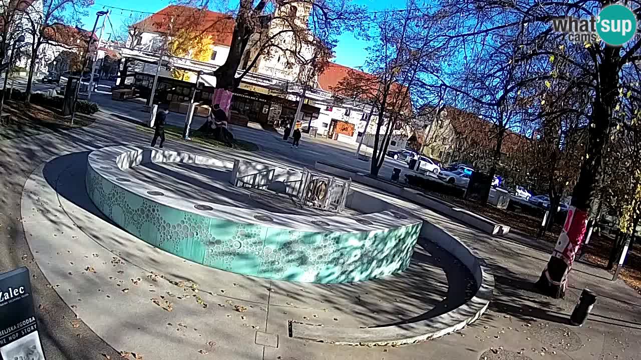 Bier-Springbrunnen Webcam Žalec – Grünen Goldes