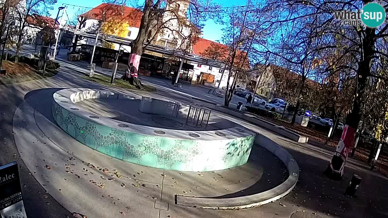 Web kamera Fontana piva – Zeleno zlato – Žalec