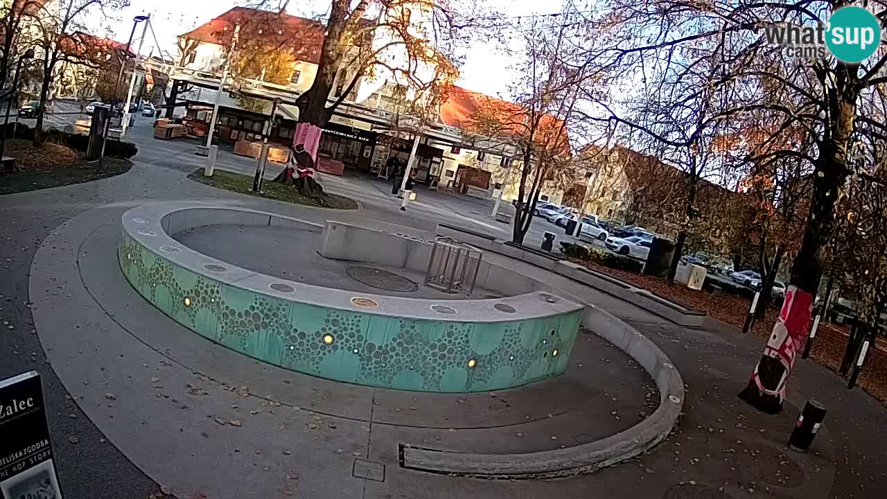 Web kamera Fontana piva – Zeleno zlato – Žalec