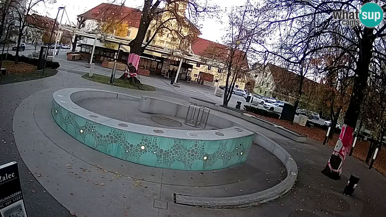 Web kamera Fontana piva – Zeleno zlato – Žalec