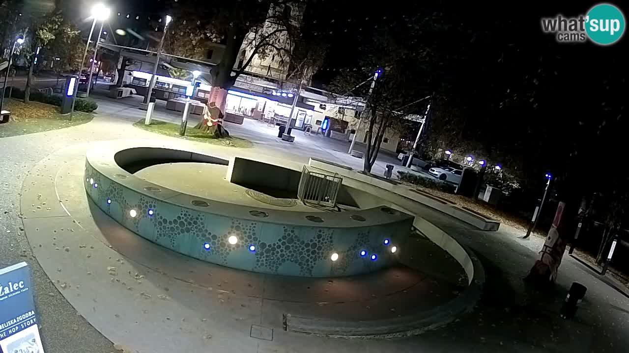 Fontaine à bière LIVE webcam – Or vert – Žalec
