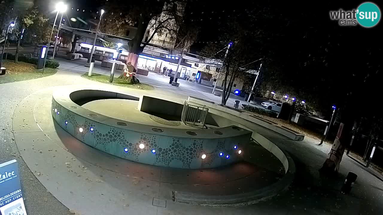 Fontaine à bière LIVE webcam – Or vert – Žalec