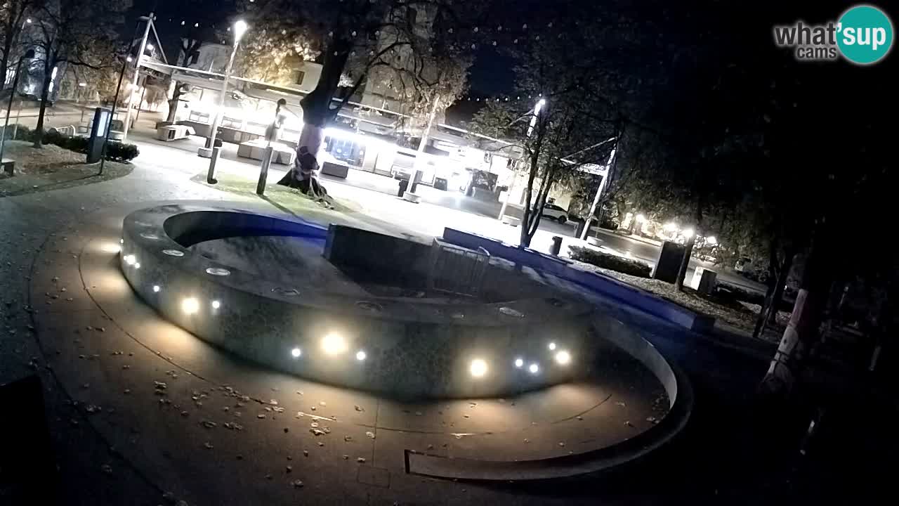 Camera en vivo Fuente de cerveza – Oro verde – Žalec