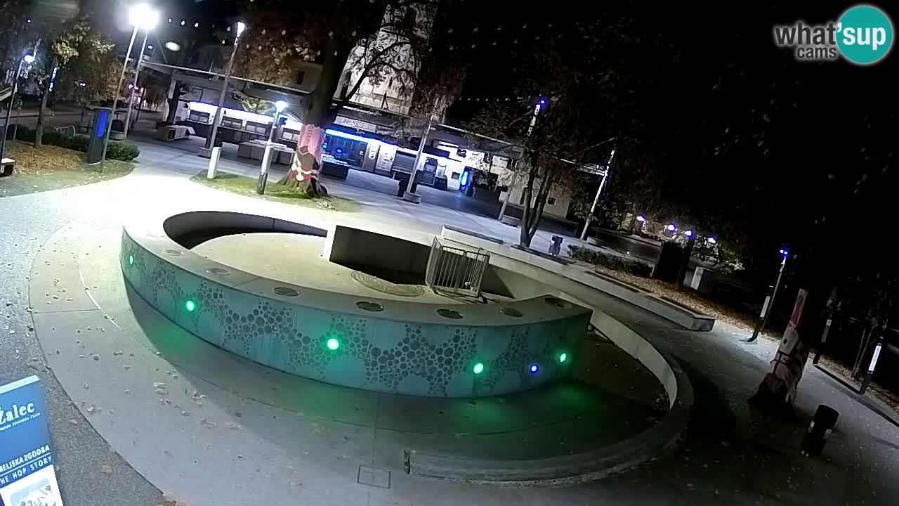 Camera en vivo Fuente de cerveza – Oro verde – Žalec