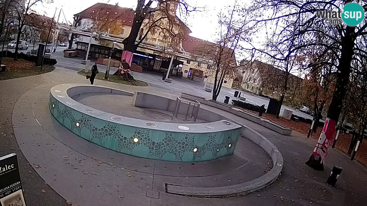 Web kamera Fontana piva – Zeleno zlato – Žalec